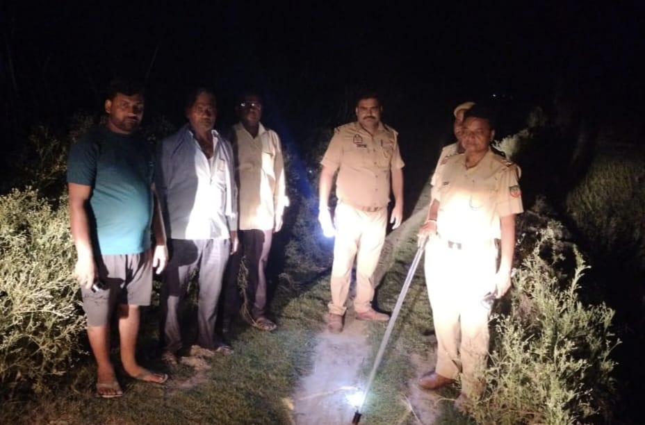 A wild animal that emerged from the sugarcane field attacked a goat.