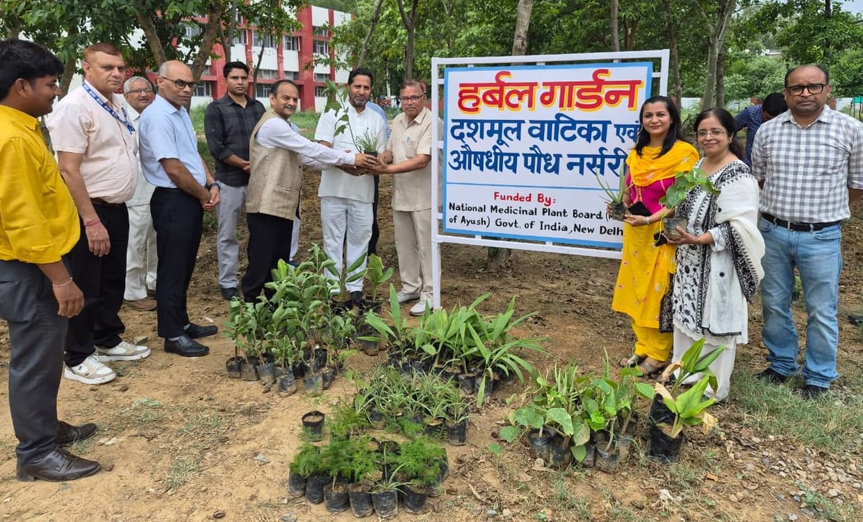 Call for the conservation of Tulsi, Giloy, Ashwagandha, and Aloe Vera.