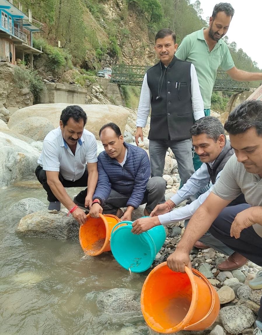 fish stocked in Kurpan Khad and its tributaries