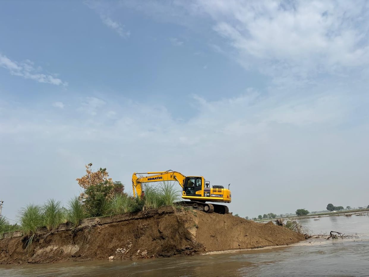 Rats burrowed into the canal; 200 acres of land submerged after the canal breached.