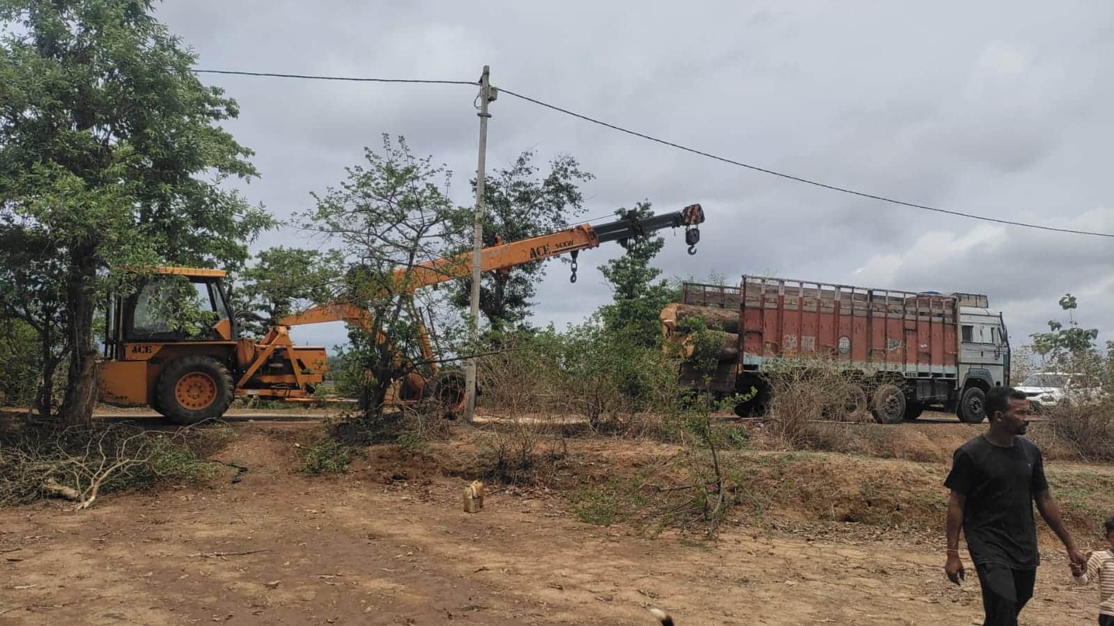 राजस्व विभाग ने यह कार्रवाई किया है