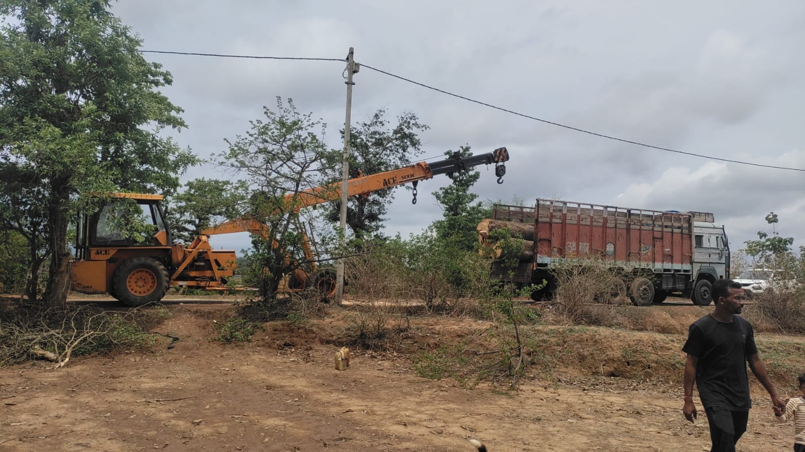 राजस्व विभाग ने यह कार्रवाई किया है