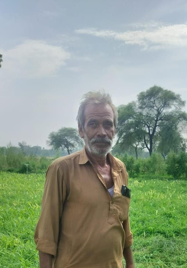 Rain brings smiles to farmers' faces; moisture returns to the fields.