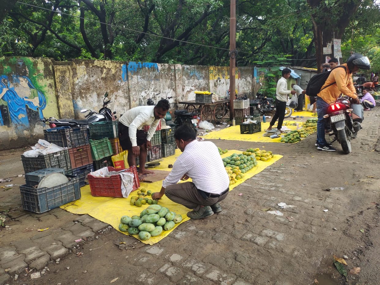 Dashehri, Chausa, and Langra mangoes take the market by storm.