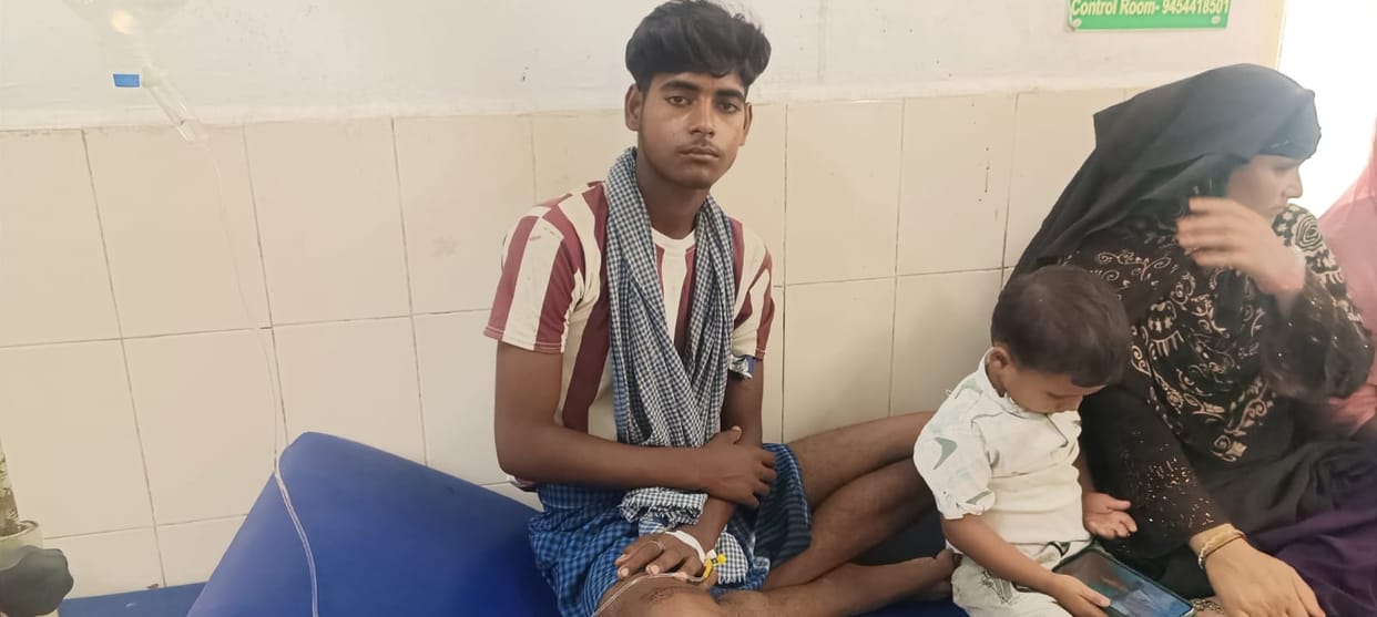 Snake bites four people, including a woman, at different places