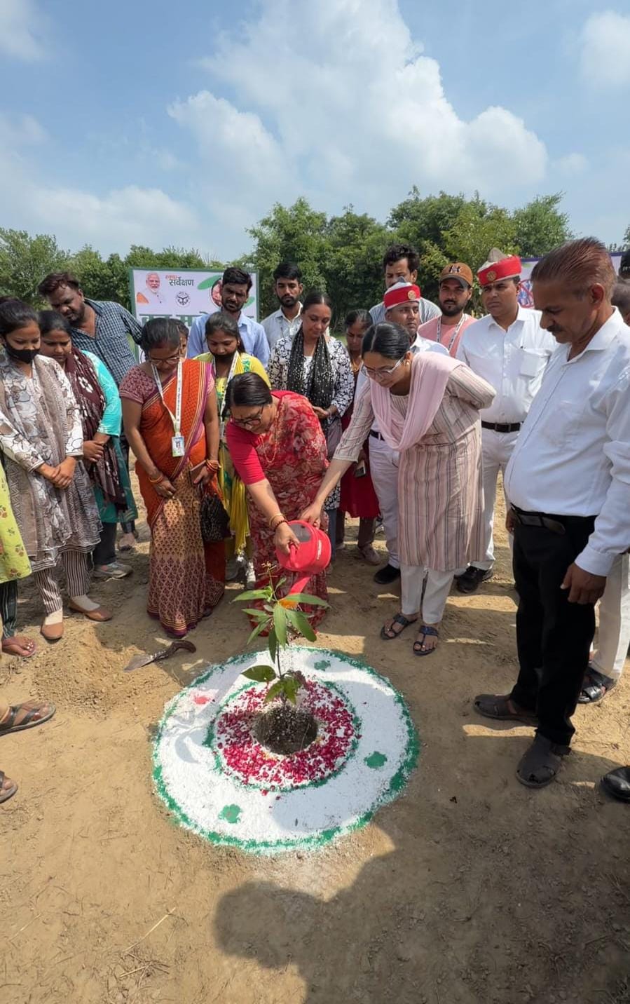 Saplings planted at the biodiversity park.