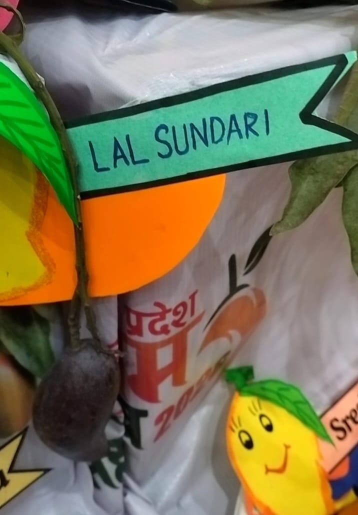 A remarkable sight at the Mango Festival