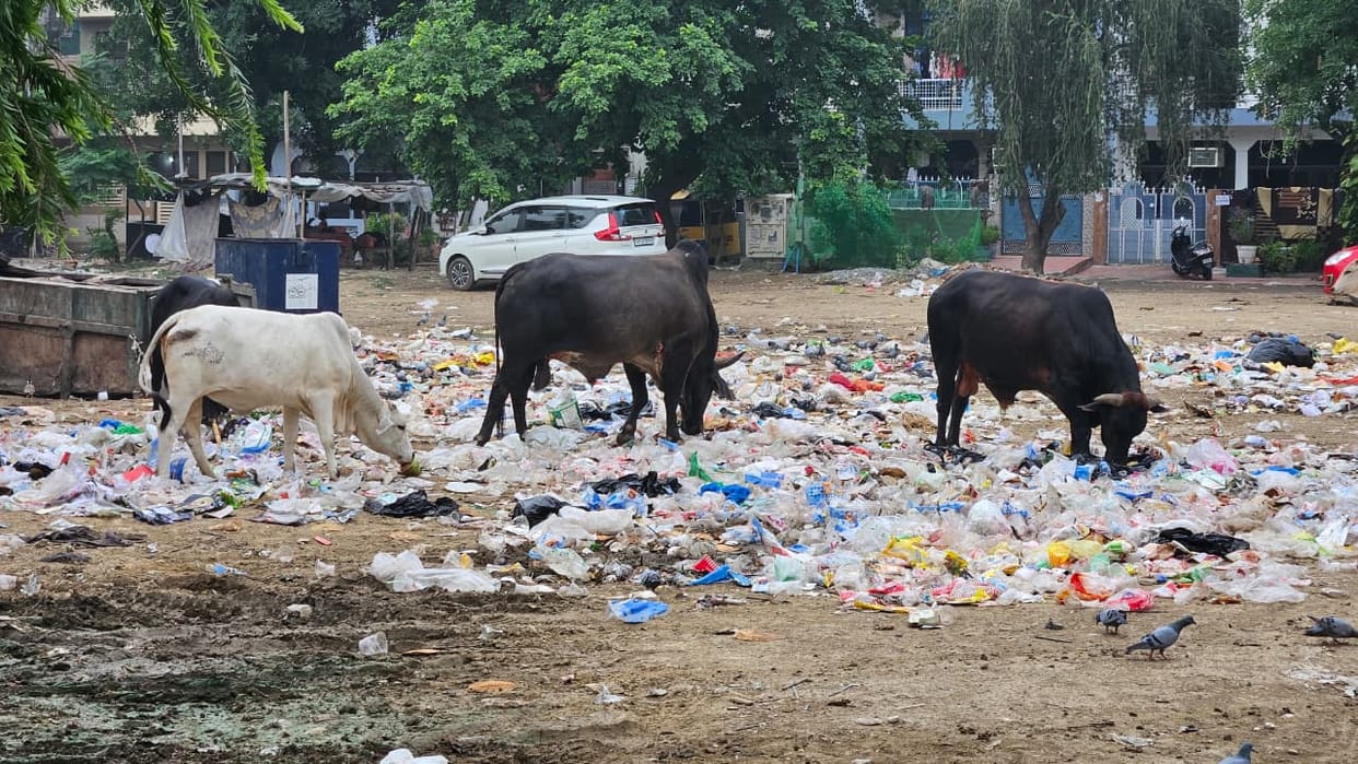 Public anger erupts over the dilapidated state of Ashok Vatika Park.