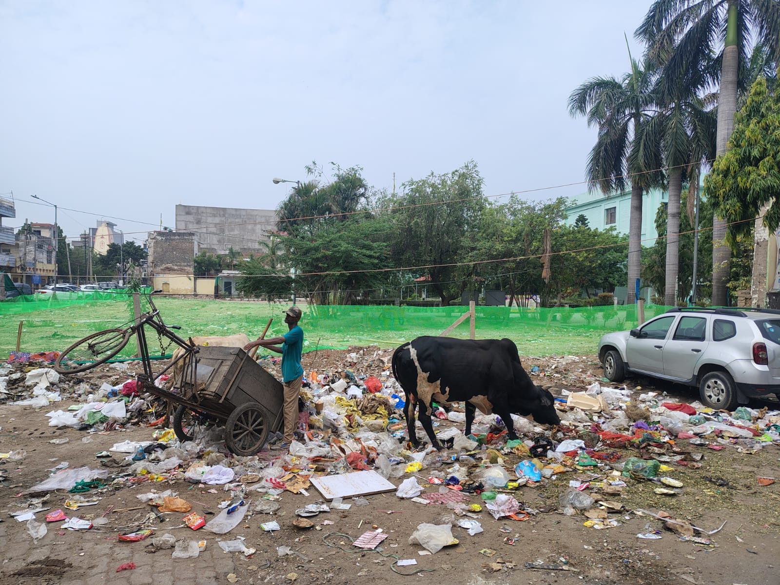 अंबाला छावनी में राजकीय पीजी कॉलेज के बाहर कूड़ा गिरा रहा सफाई कर्मी। प्रबंधन