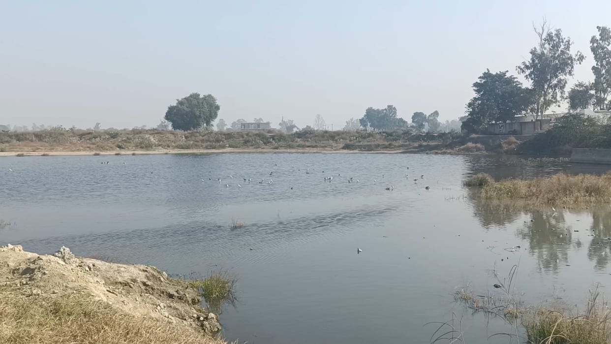 No boundary wall has been built yet around the pond in Saran where three innocent children drowned to death.