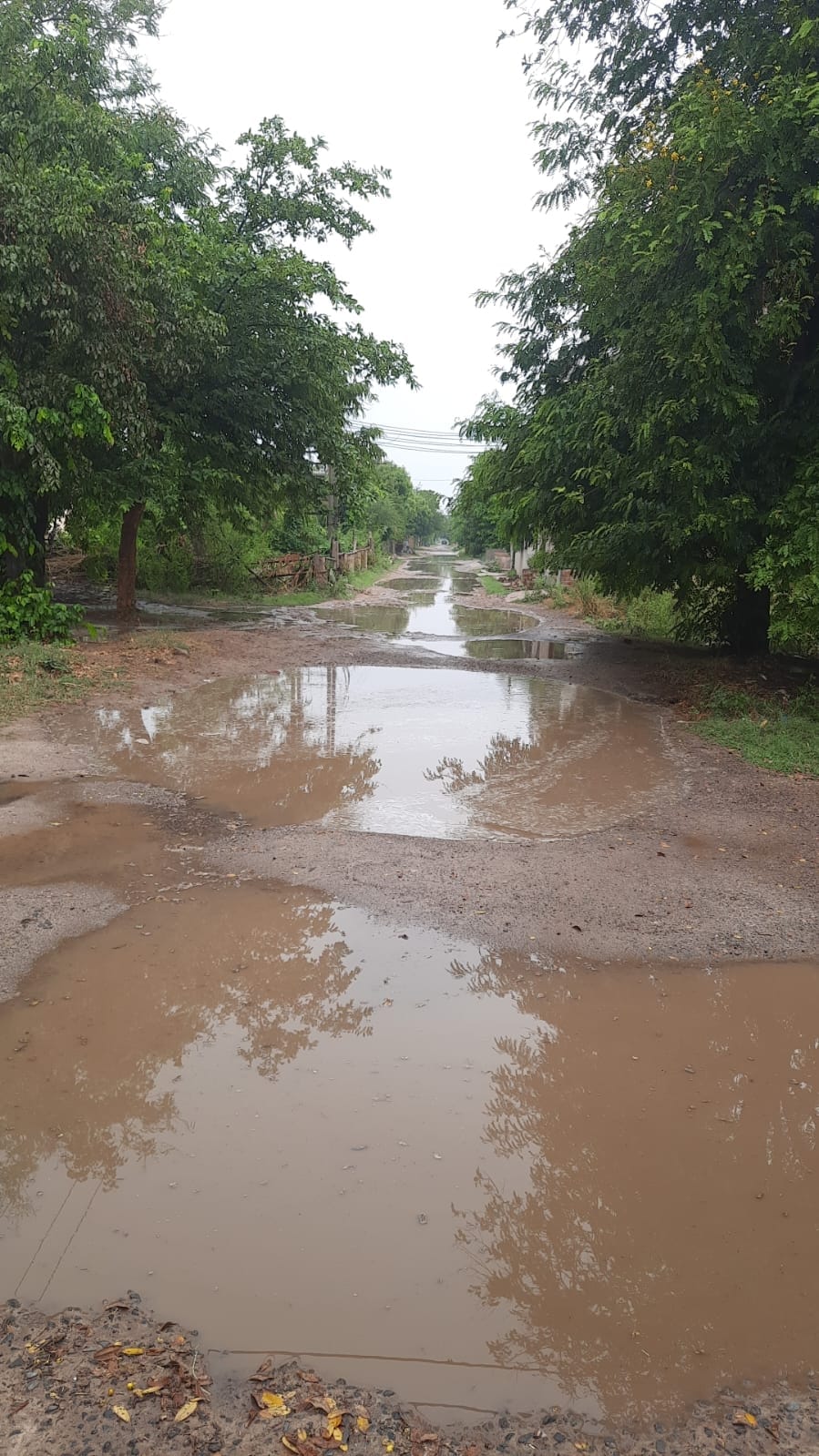 Rs 7 crore to transform the face of Sector 2; roads to be built after years.