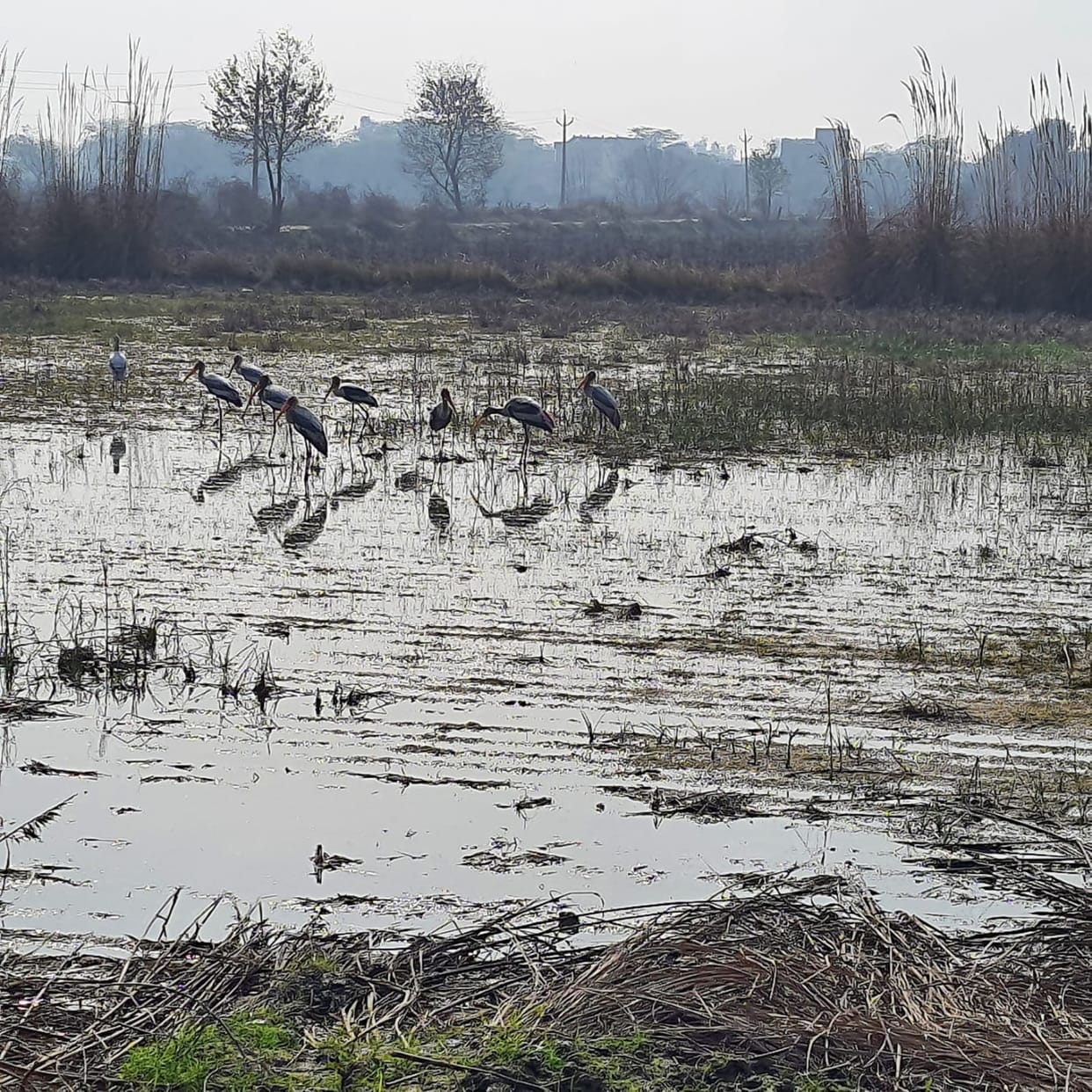 The rains will come, the water will flow away... and plans for water conservation will remain confined to paper