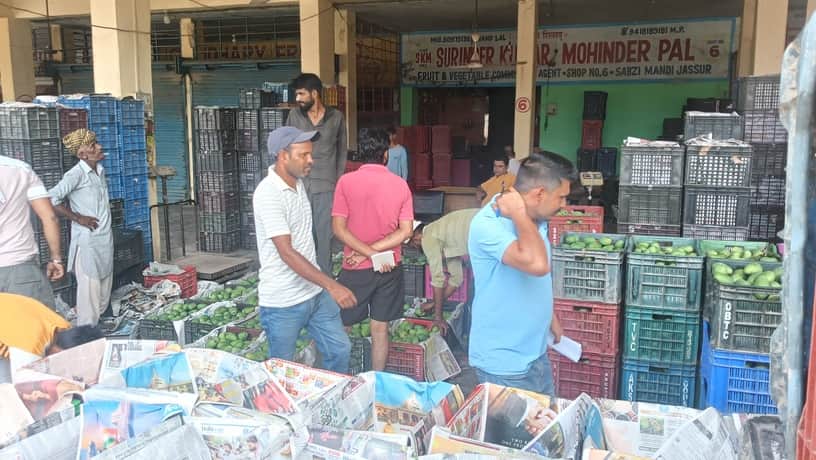 जिला कांगड़ा की प्रमुख सब्जी मंडी जसूर में पहुंच रही आम की फसल (संवाद)