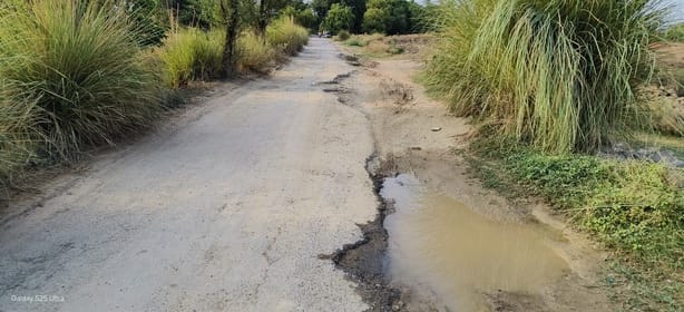 Large potholes on a 1.5-km stretch of road cause trouble.