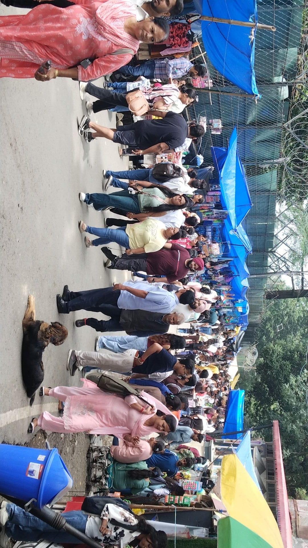 Weekend and fair festivities: A massive crowd thronged Kasauli.