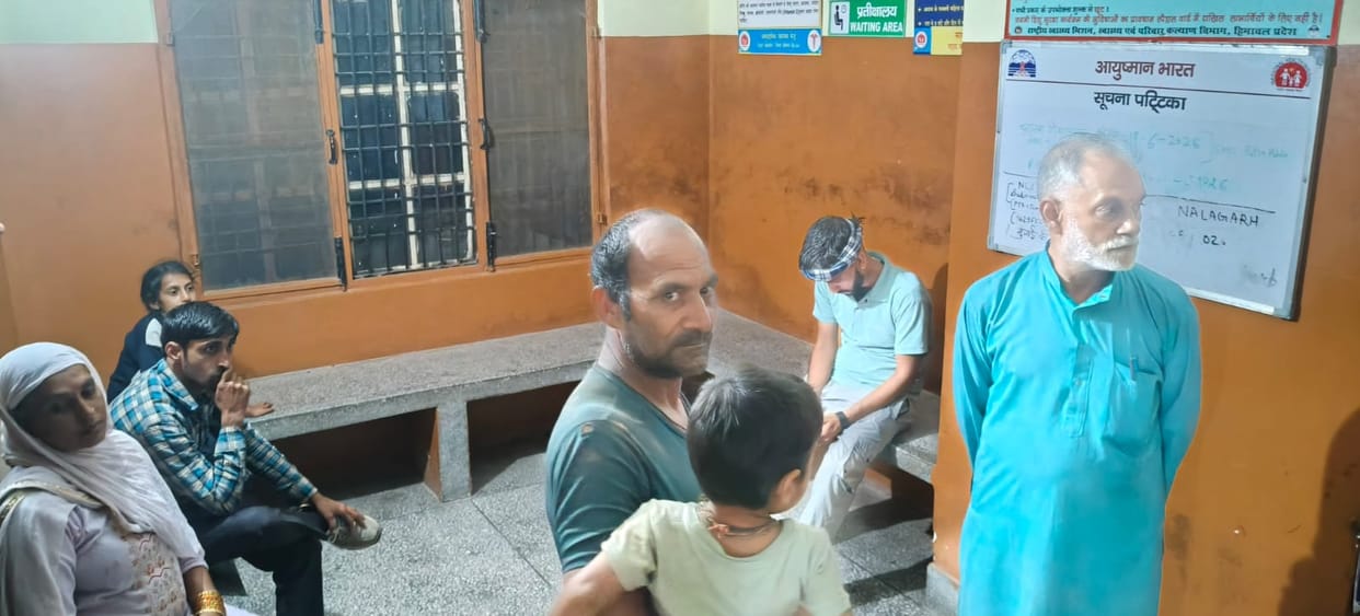 Lizard falls into food; family falls ill; no doctor found at CHC.