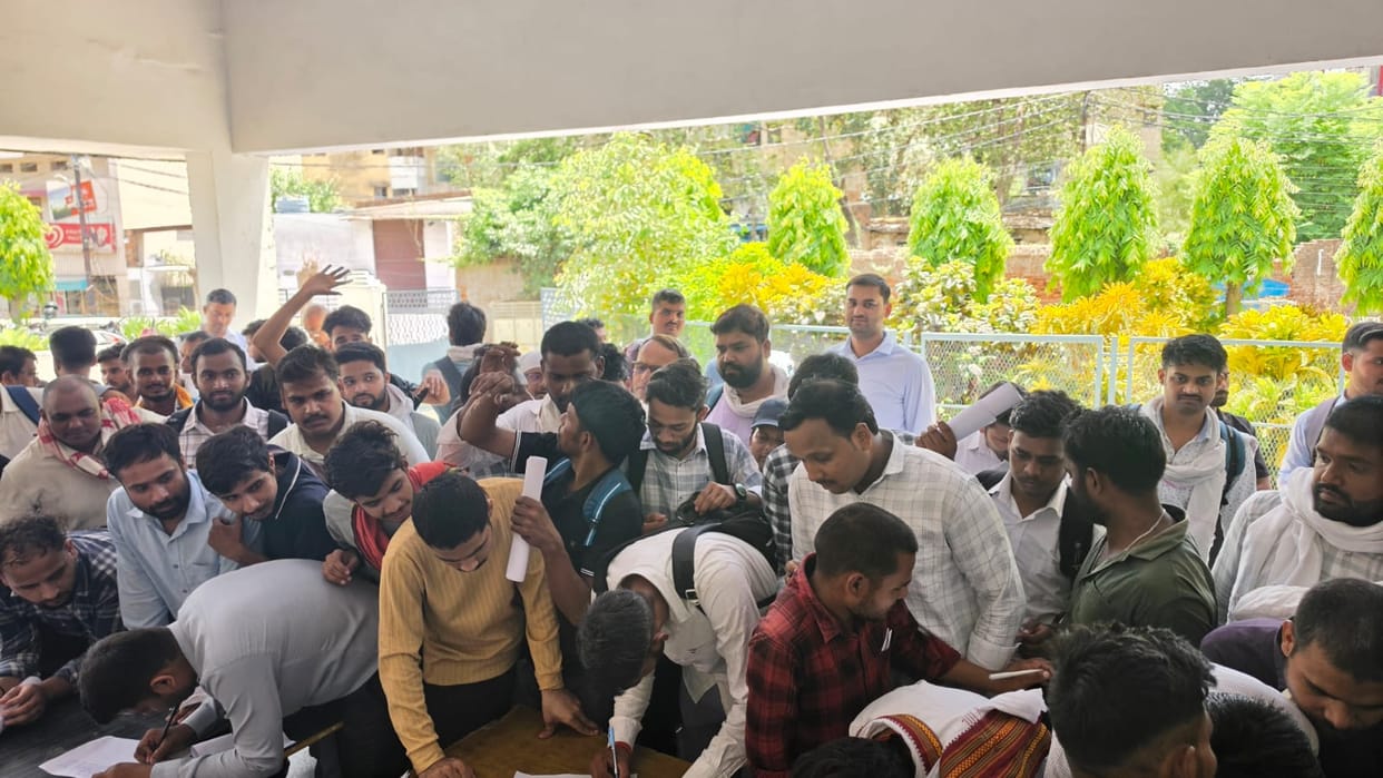 916 youths tried their luck; only 246 received job offers.
