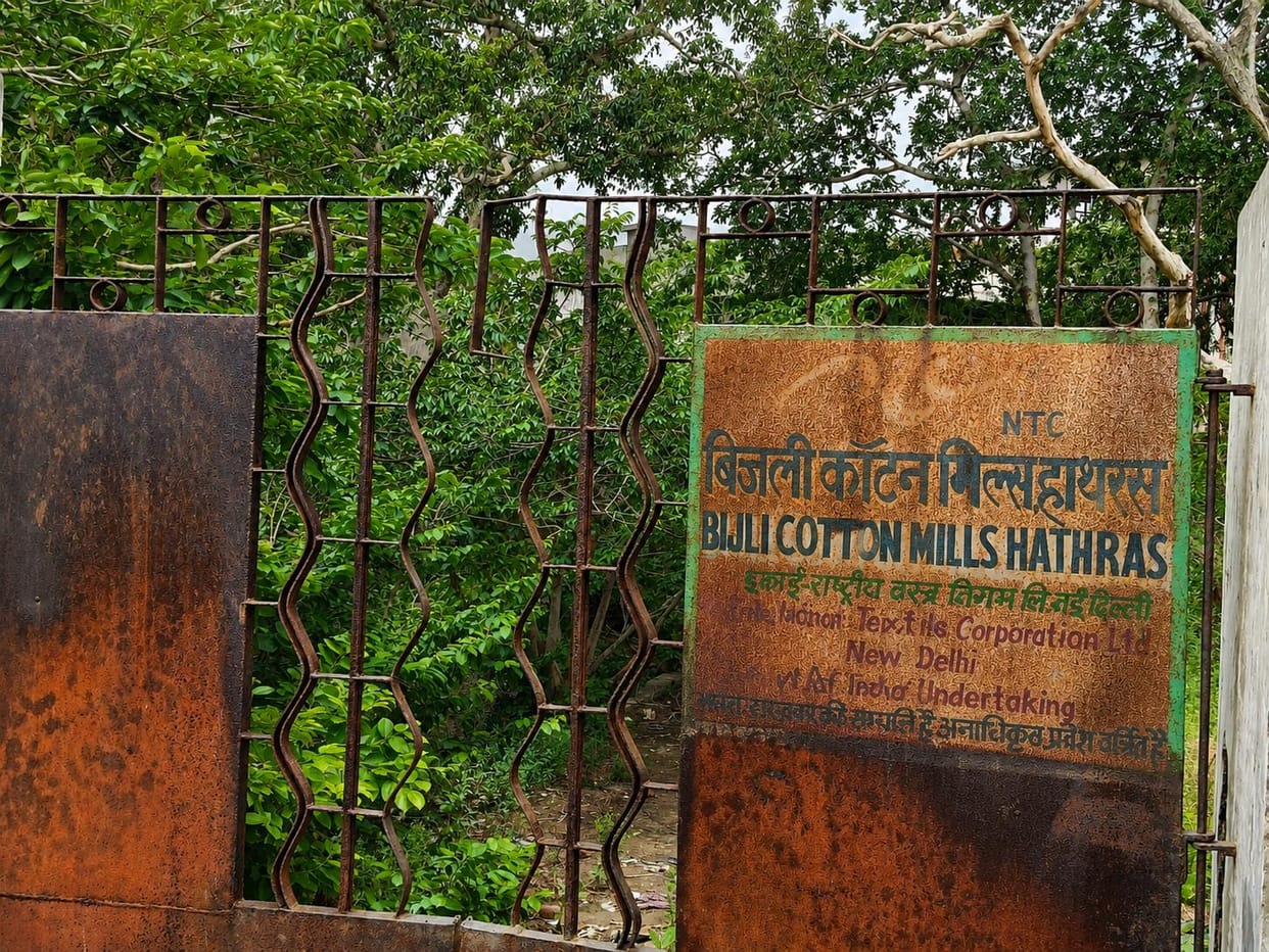 Cotton crops will once again flourish in Braj.