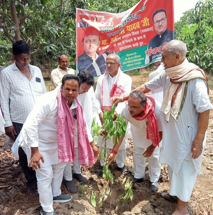 SP members planted saplings at 'Chhote Lohia's' residence.