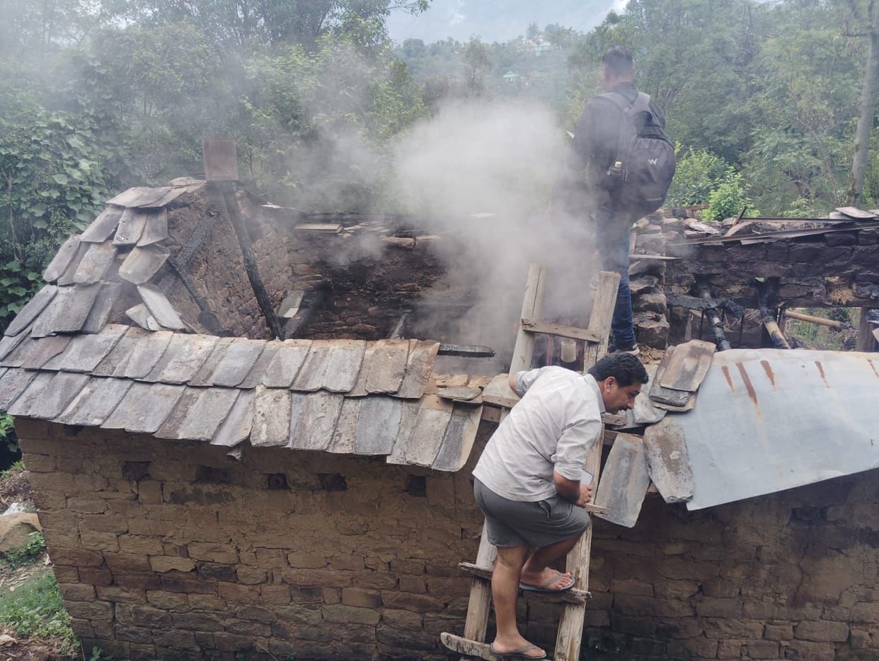 Fire breaks out at a cowshed in Dhadiyana village; pregnant cow and female calf burnt alive.