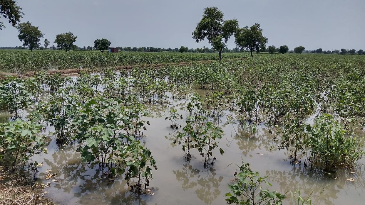 Thousands of farmers have not received compensation even after two months