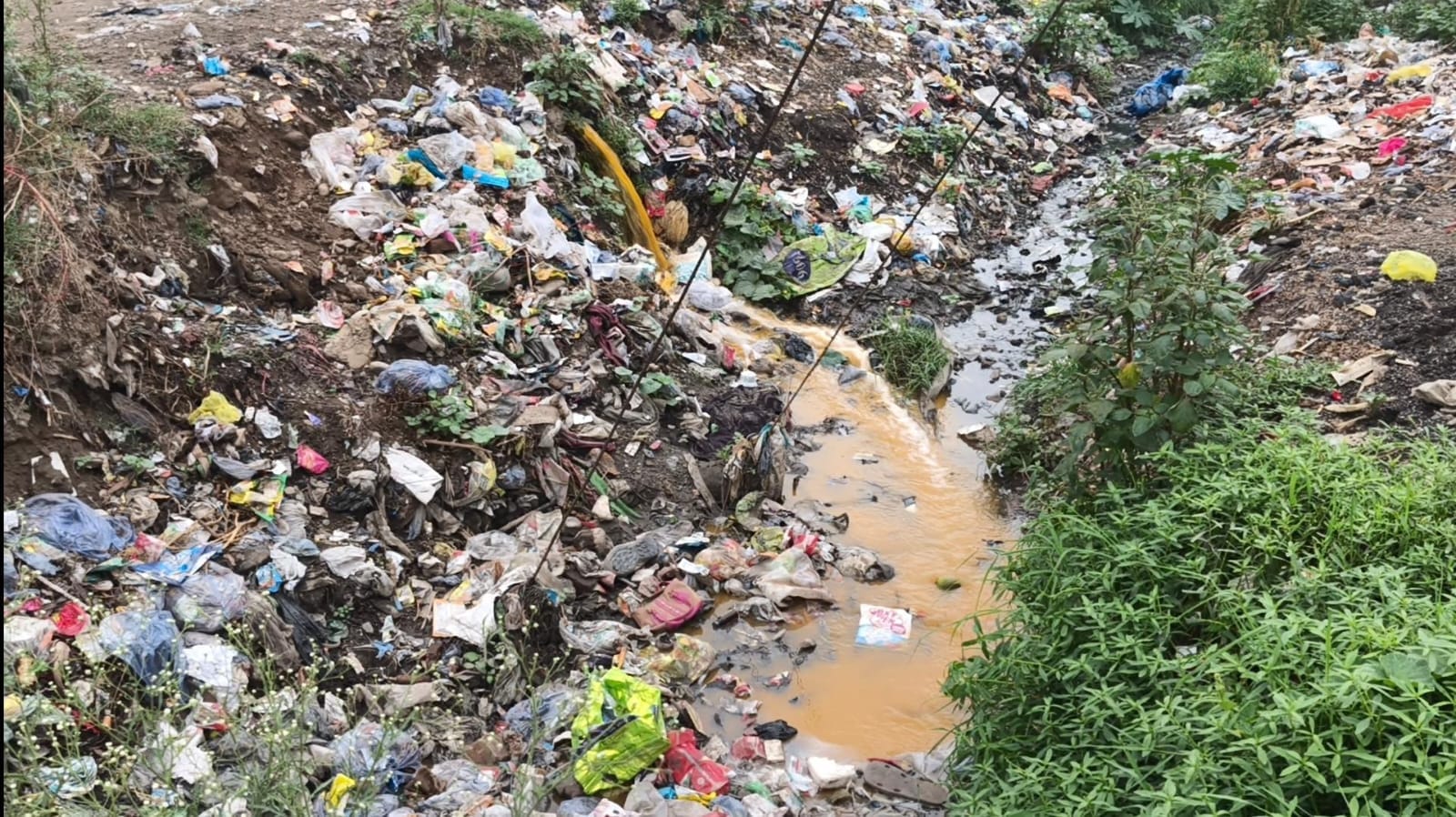 Chemical-laden water was being discharged into a drain; notice issued to pharmaceutical company to shut down operations.