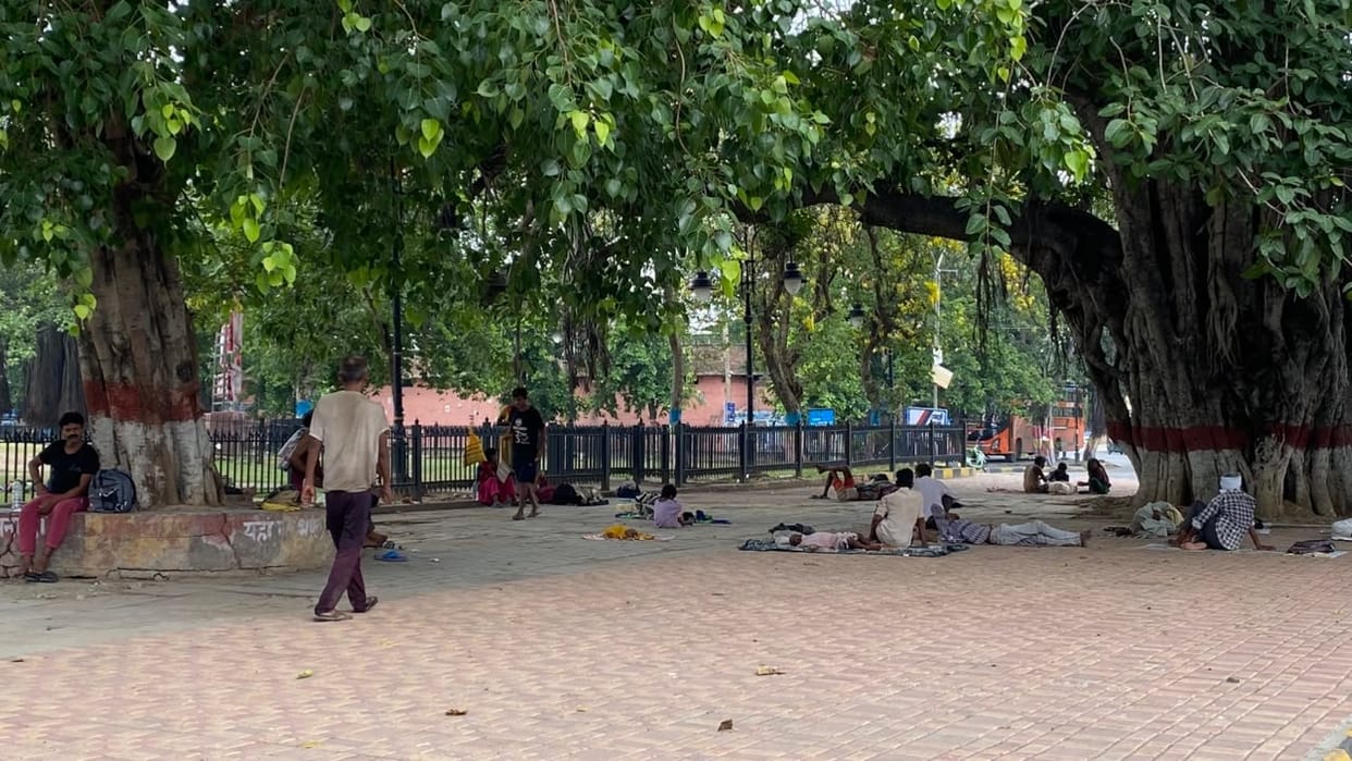 Amidst 37-degree heat, the shade of trees offered relief, while humidity caused discomfort throughout the day.