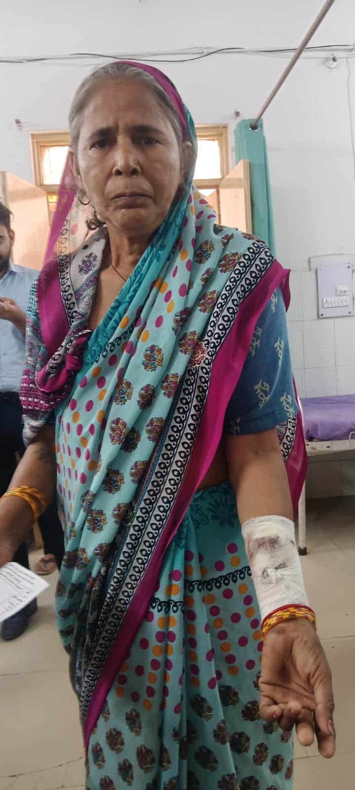 A pack of dogs bit a student and an elderly woman