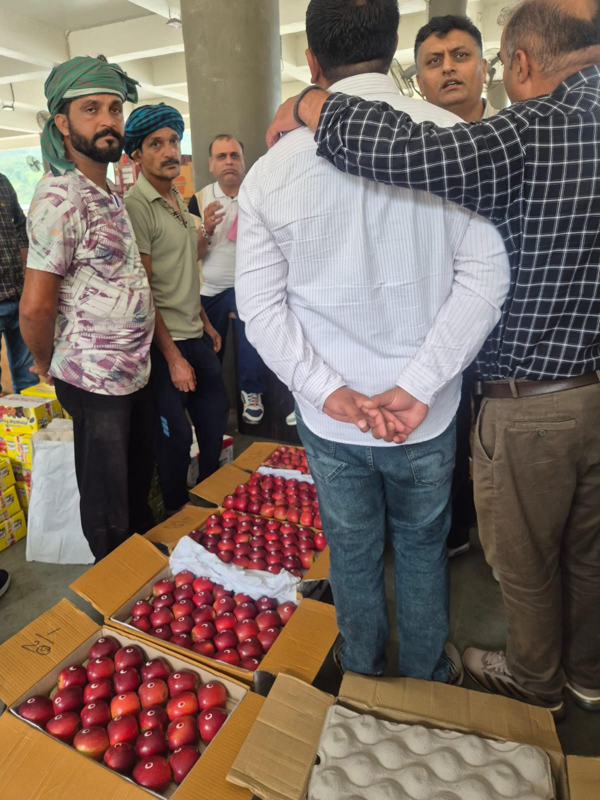 Apple season begins at Parala fruit market