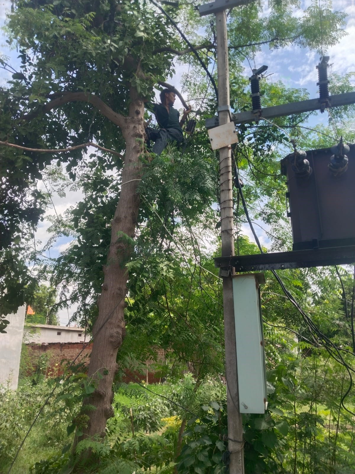सुलेमपुर फीडर क्षेत्र में बिजली के तार के ऊपर लटकी पेड़ की टहनियां काटते बिजलीकर्मी। संवाद