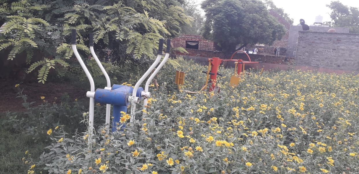 Shyamsukh village's open gym vanished in the bushes, a facility worth millions in bad shape due to lack of maintenance