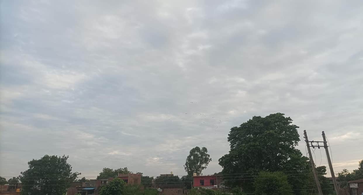 No rain for three days following the alert.