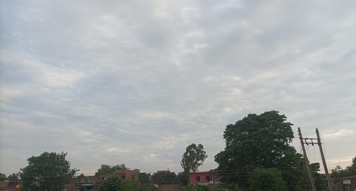 No rain for three days following the alert.