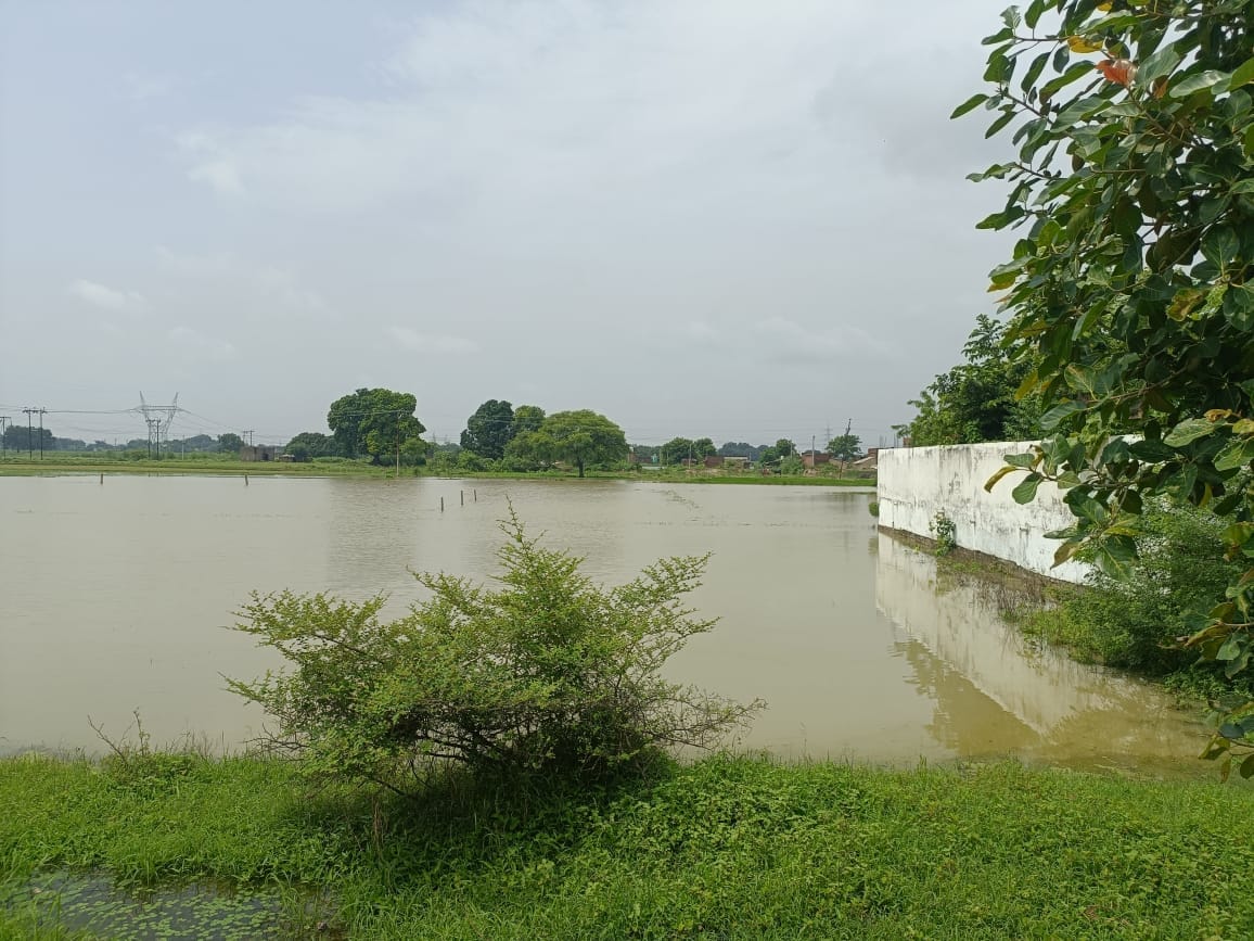 Even after a year, compensation for paddy crops submerged in the floods has not been received