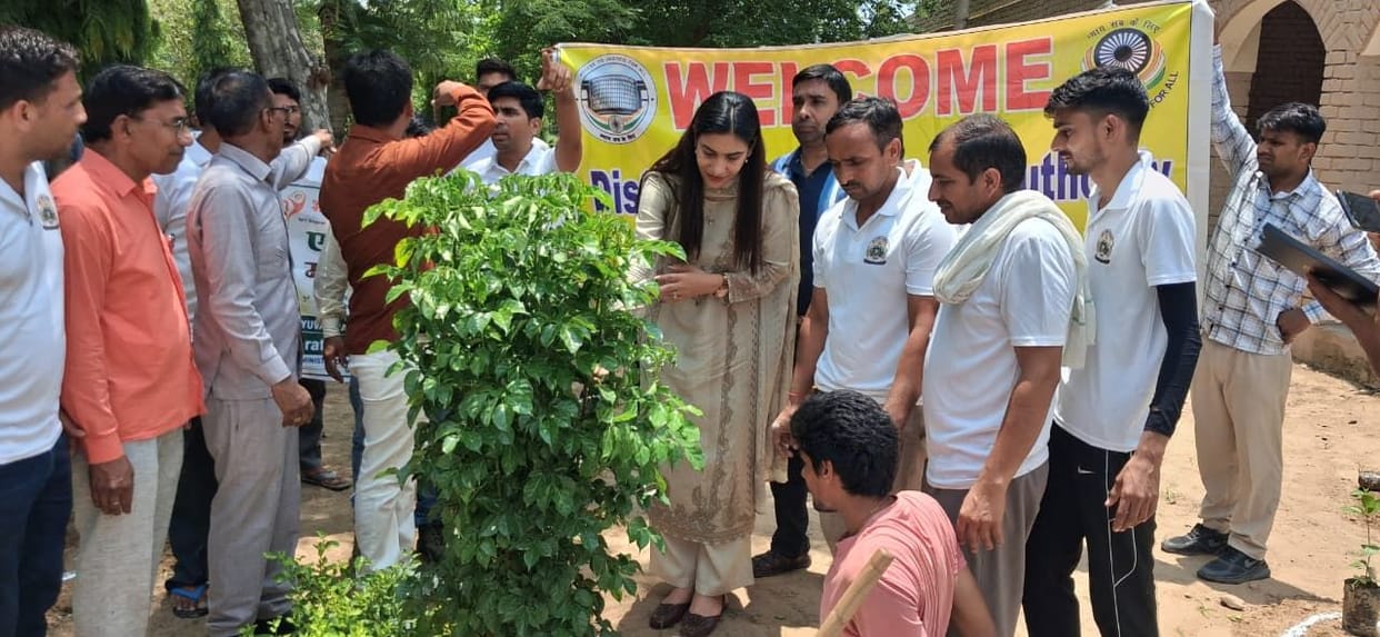 Legal literacy camp organized in Seka; saplings planted.