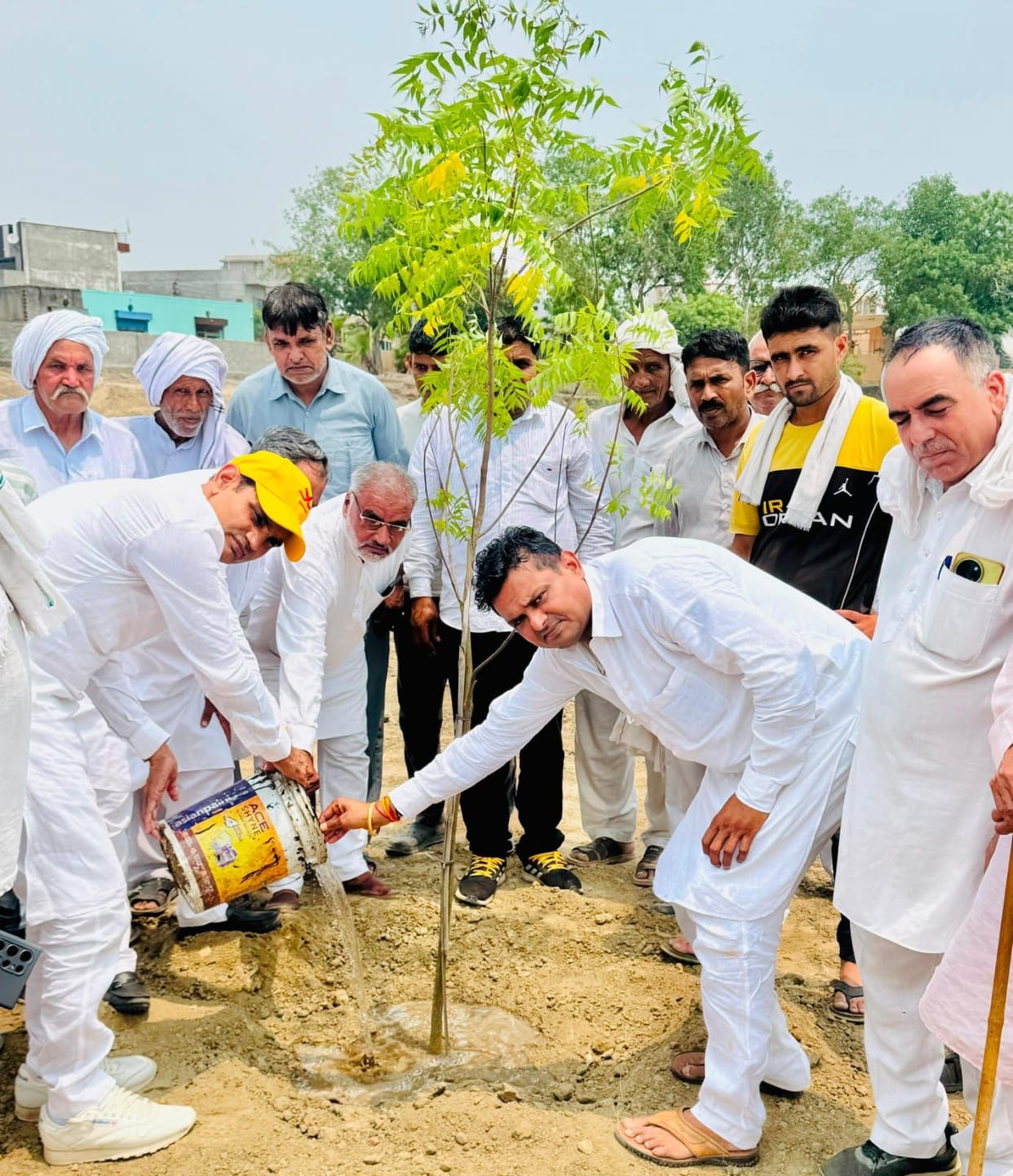 Havan was performed for peace in Ghoghariya and 325 saplings were planted.