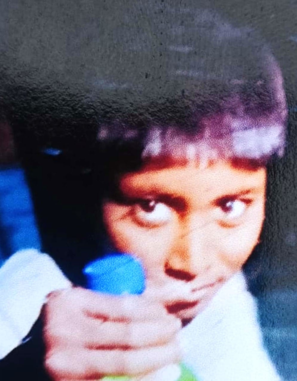 Student bitten by snake while grazing animals; dies.