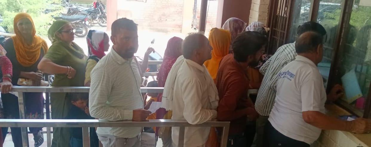 194 people received rabies injections in a month; 167 were bitten by dogs.