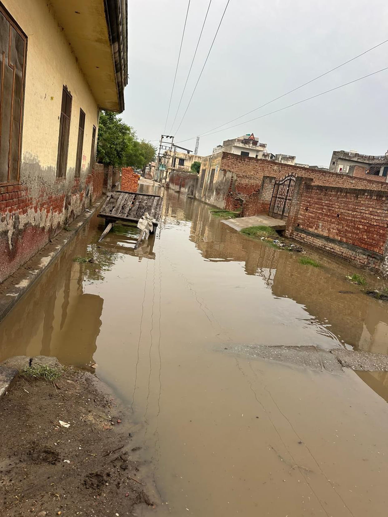 Rain exposes hollow claims; knee-deep, filthy water accumulates in Balu Bidhan Patti and Valmiki Mohalla.