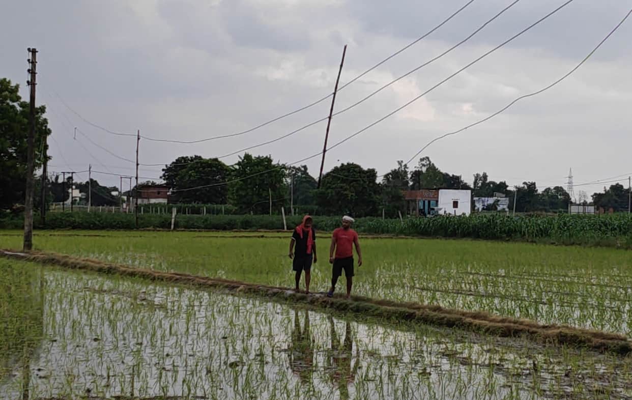 Torrential rain brings relief from the heat; waterlogging occurs on dilapidated roads.