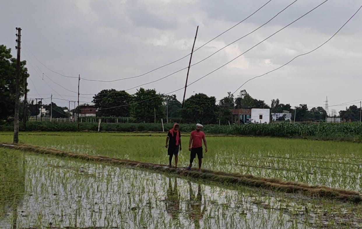 Torrential rain brings relief from the heat; waterlogging occurs on dilapidated roads.