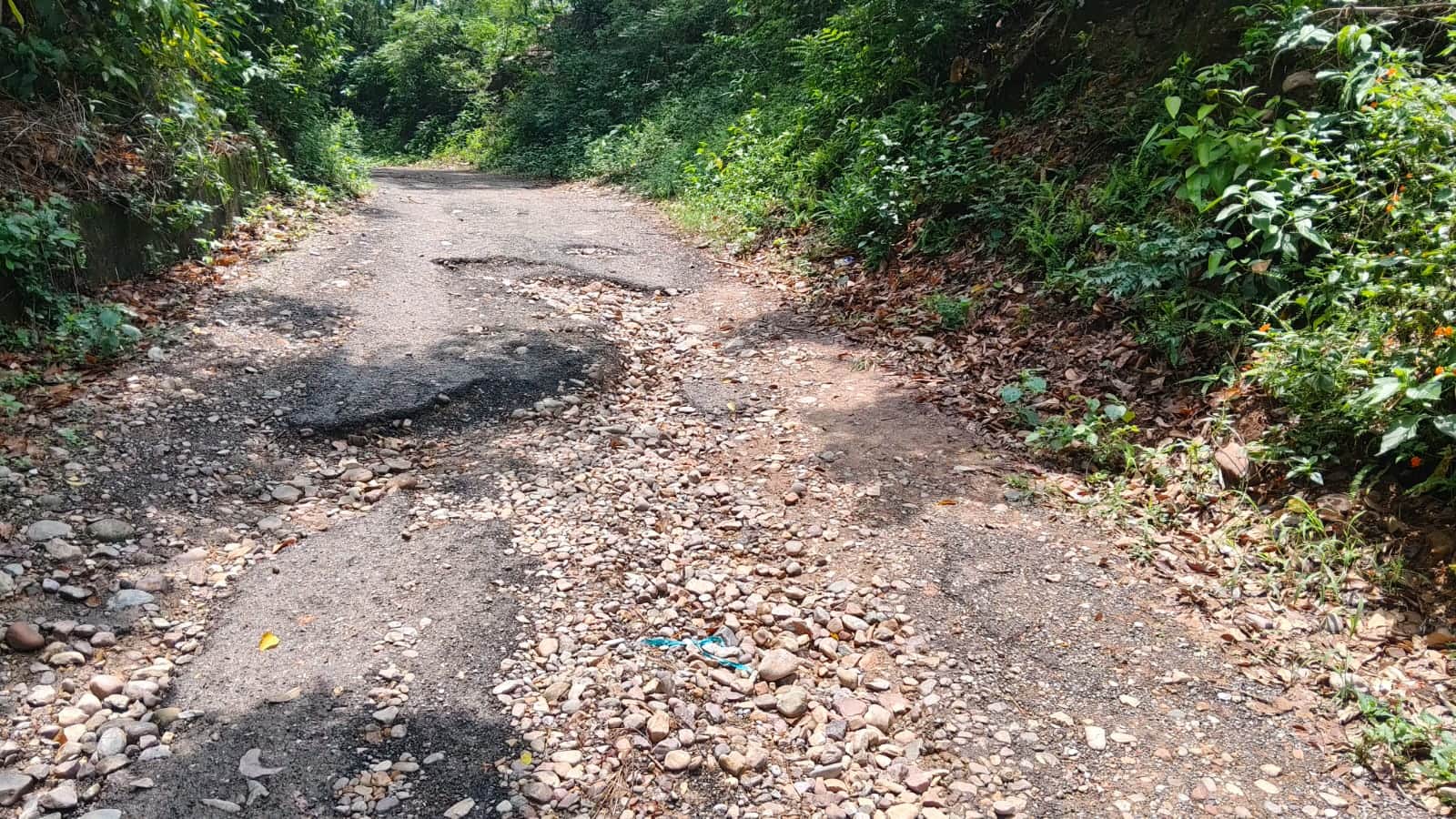 जवाली के अधीन मरियाना से मिनी हरिद्वार मार्ग के खस्ताहाल। संवाद