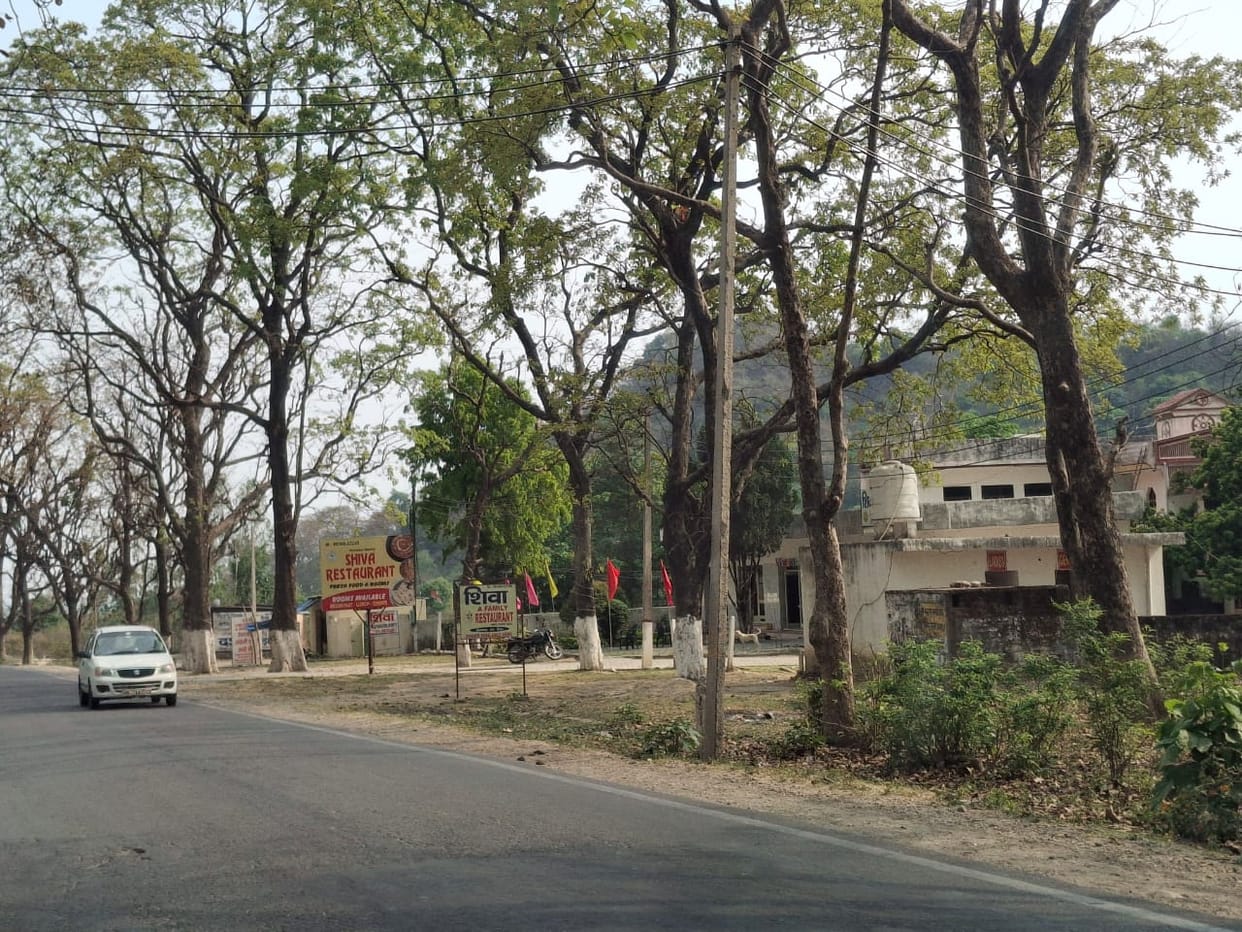 30 illegal constructions in Kalesar Park's buffer zone
