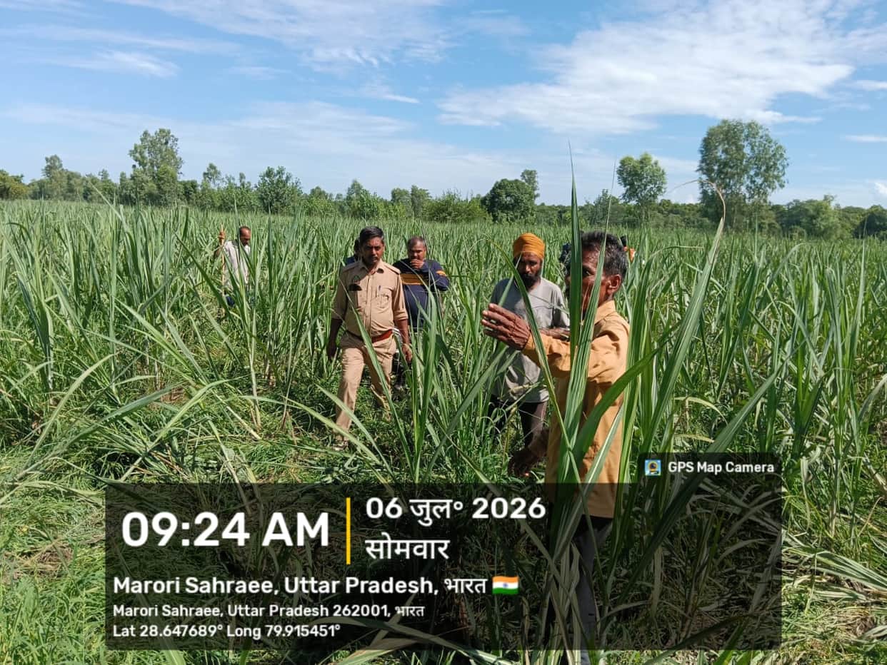 Rampage by Nepali elephants in Marauri village; crops trampled.