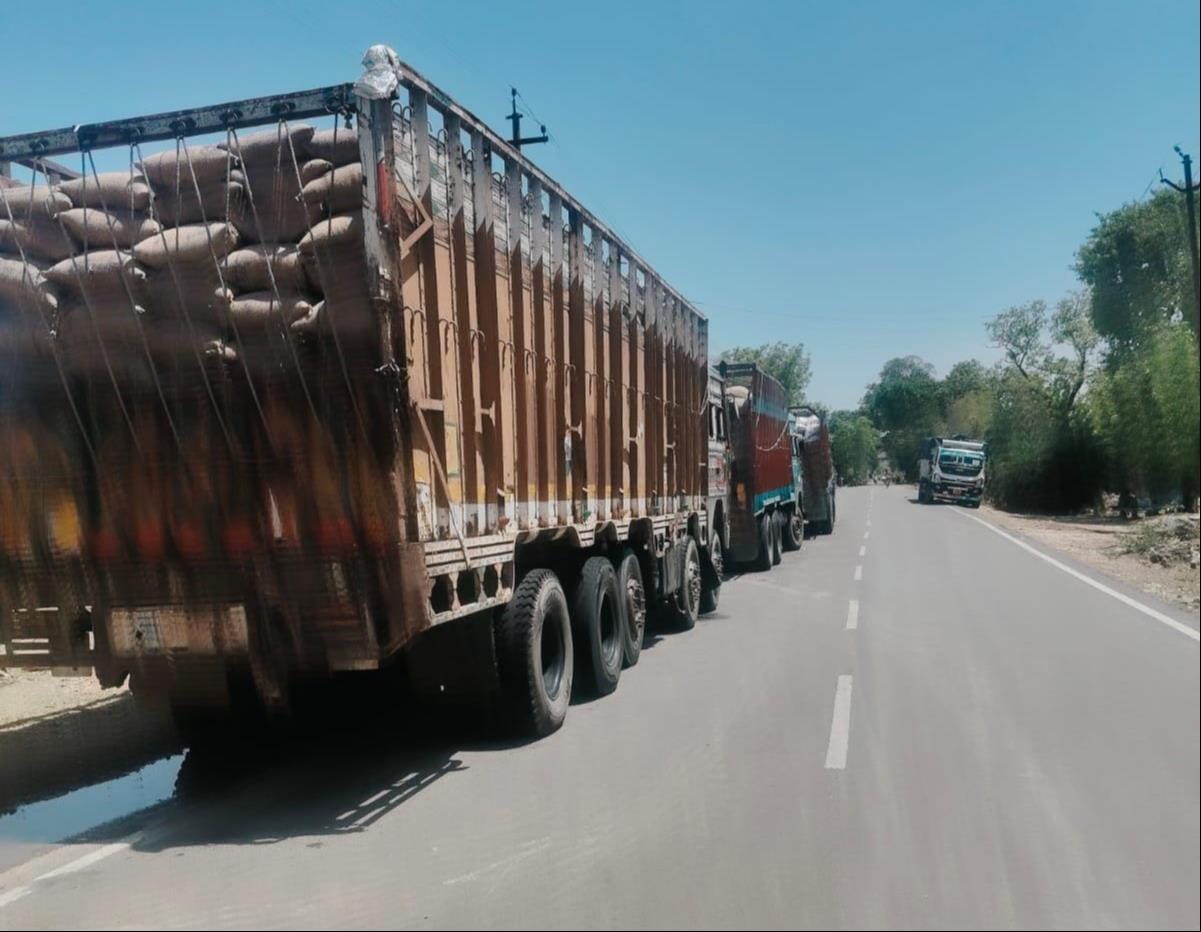 Wheat not being unloaded from trucks; risk of getting soaked in the rain.