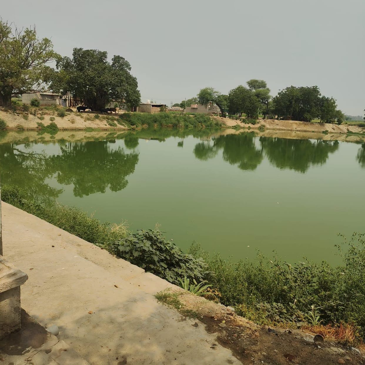 Encroachments on the village pond in Phoolan will be removed
