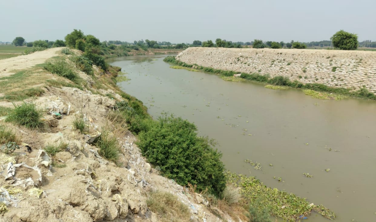 ghaggar water level increased dam weak