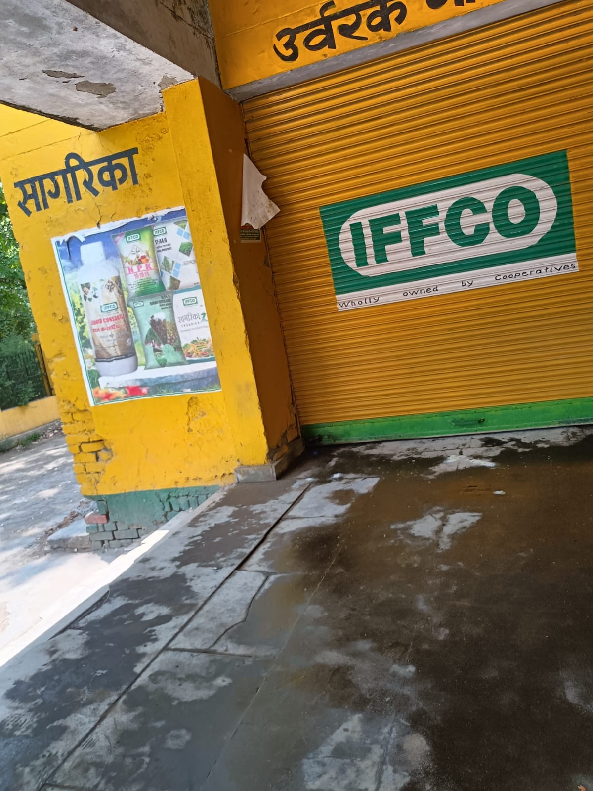 Fields and farms starved of fertilizer; farmers wandering in search of urea.