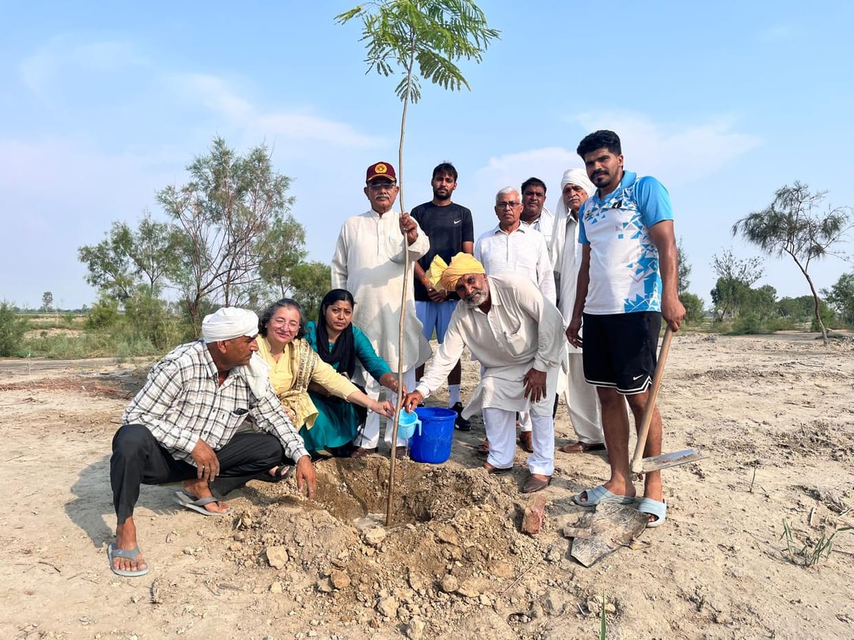 Planting of 125 saplings at Dadi Bhadda Temple