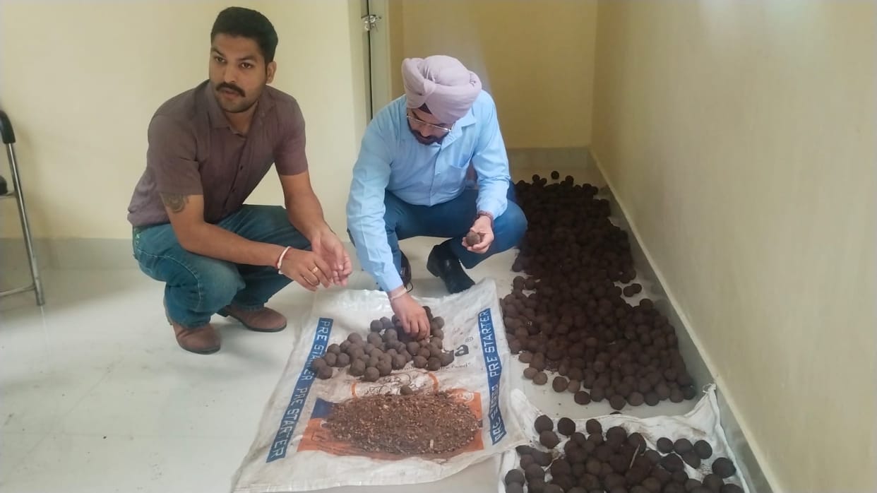 Tree plantation in the district will now be carried out using the seed ball technique.